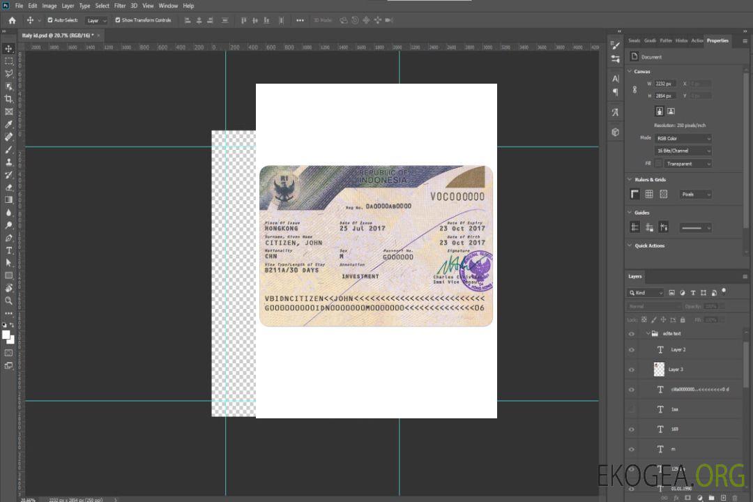 Visa INDONÉSIE version 2 template